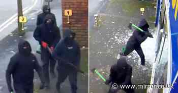 Moment gang of thugs smash their way into shop using axes before firing shotgun at staff