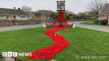 Thousands of poppies make up 'river of tears'