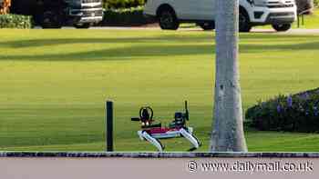 Robotic dogs patrol Mar-a-Lago as president-elect Trump is ensconced in ring of steel after election win