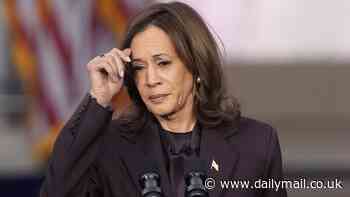 Kamala Harris' campaign eviscerated for spending $1 BILLION and still losing: 'What the f***!'