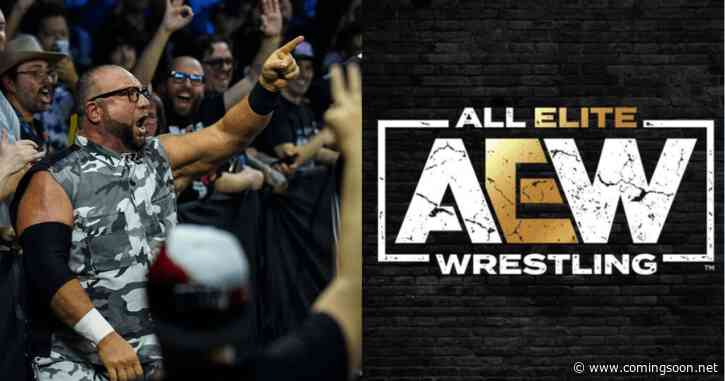 Bully Ray Seemingly Takes a Shot at AEW After WWE NXT Appearance