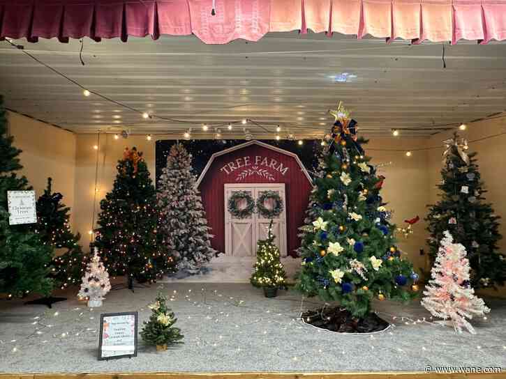 Paulding County History Museum kicks off annual Festival of Trees