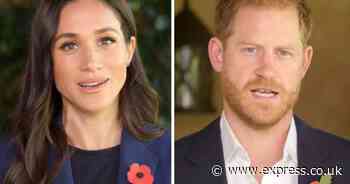 'Serious' Prince Harry reunites with Meghan Markle for 'regal double act' in latest video