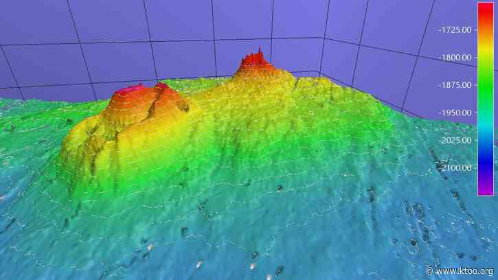 Scientists discover volcano-like structure in Arctic Ocean off Alaska