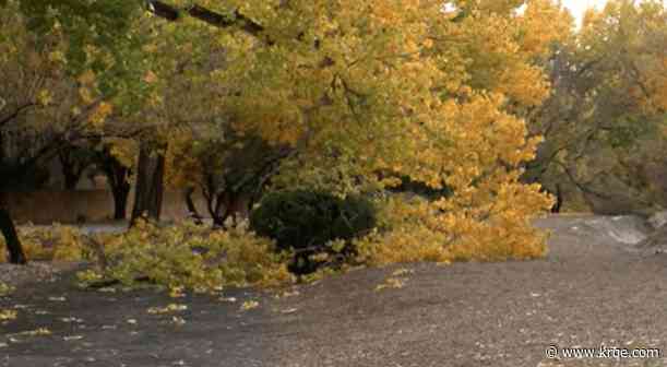 Parts of Albuquerque still without electricity, PNM expects power to be back Friday night