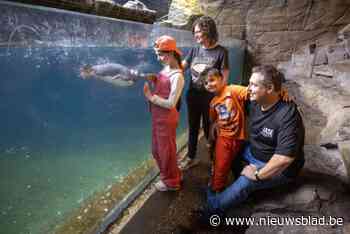 Zijn er grotere fans van Pairi Daiza dan dit Tongerse gezin? “Komen hier 30 keer per jaar”