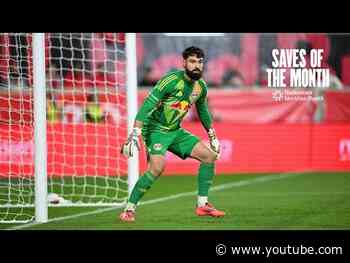 Carlos Coronel Highlights | Saves of the Month October