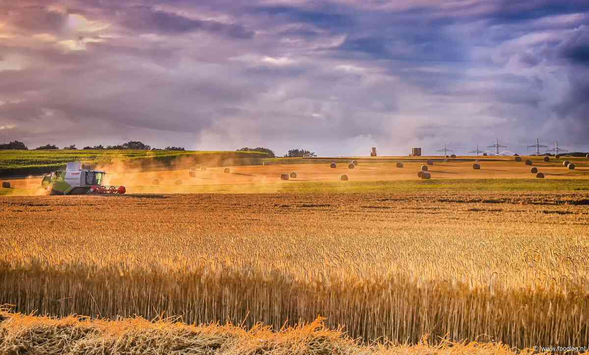 Hoe zal klimaatverandering de gewasopbrengsten in de toekomst beïnvloeden?