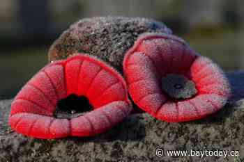 The Royal Canadian Legion turns to Amazon for annual poppy campaign boost