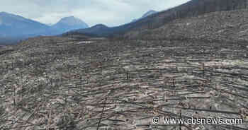 How summer wildfires tore through Canada's Jasper National Park