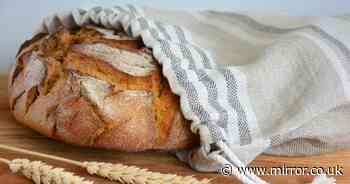 Store your bread in an unexpected place and it will last three weeks longer