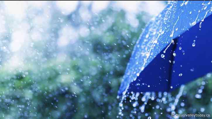 Up to 40 mm of heavy rain, strong winds in weather advisory for Fraser Valley West