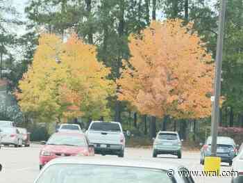 Rake this weekend: Raleigh leaf collection starts Nov. 12