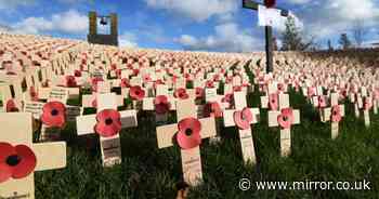 Remembrance Day: Use our interactive search tool to look up wargraves of fallen heroes