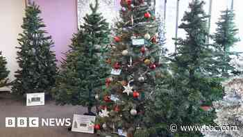 Charity Christmas tree festival has new venues