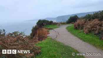 Footpath closed after latest 'huge' cliff fall