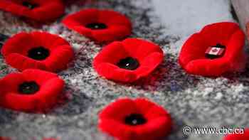 What's open and closed on Remembrance Day in Winnipeg