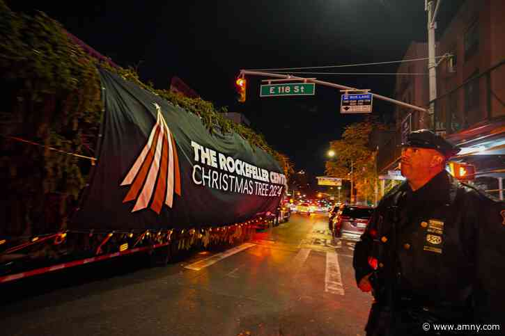 How the NYPD helped deliver the Rockefeller Center Christmas tree and usher in the holidays in NYC