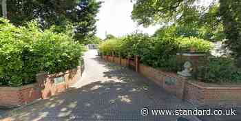 Child dies after being struck by falling tree branch in Surrey