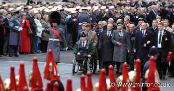 Brits must remember soldiers who died protecting Falklands, says Armed Forces Minister