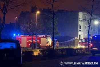 Uitslaande brand na ontploffing in appartement in Lint: geen gewonden, politie sluit kwaad opzet niet uit