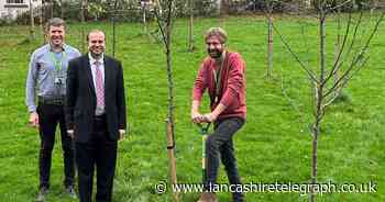 Council invites community to create orchards with leftover funds