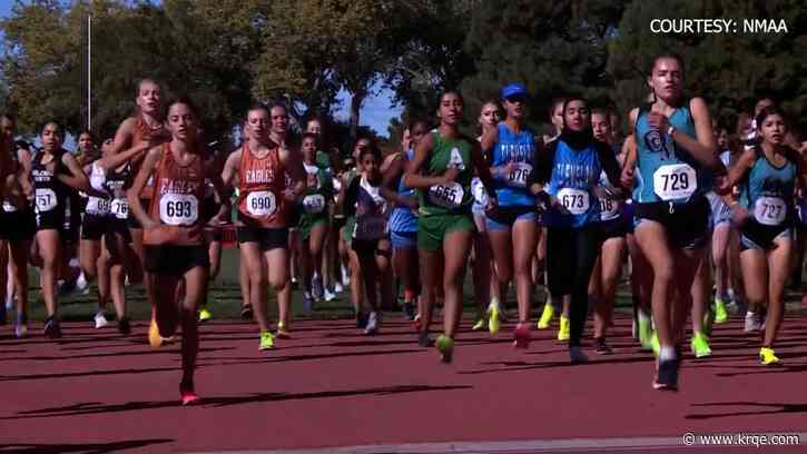 Eldorado Girls and Rio Rancho Boys win High School XC Team State Titles