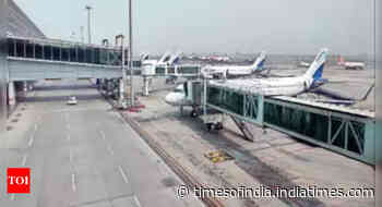 Kolkata: Madhyamgram clean-up module to check airport bird strikes