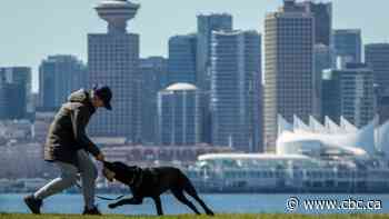 Who gets Fluffy when you're gone? Pet inheritance is more complex than you might think