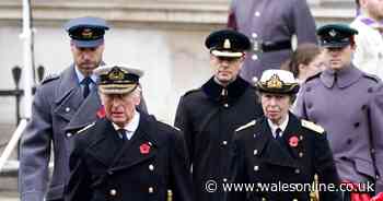 King lays wreath at Cenotaph as nation falls silent in remembrance