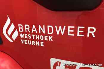 Brandweer rukt uit voor vissterfte op het water