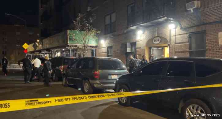 17-year-old fatally shot in the Bronx in latest act of teen gun violence