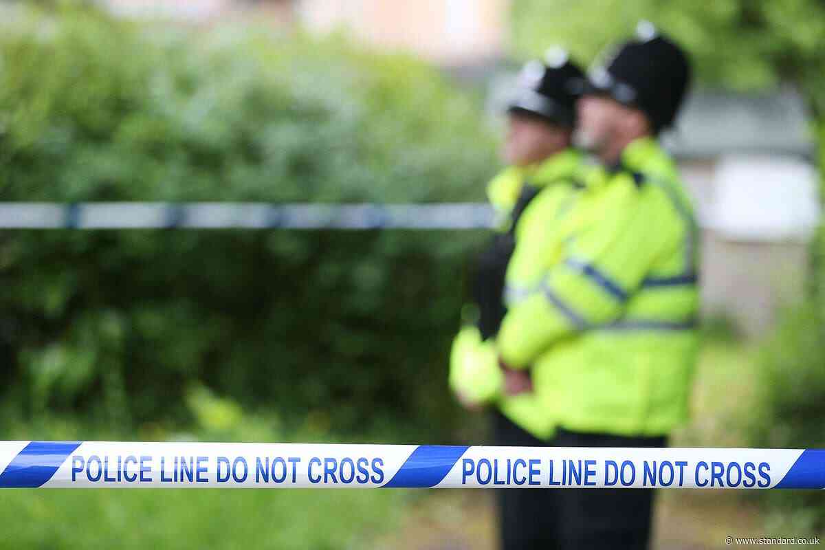 One dead and pair in hospital after stabbing in south London