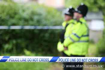 One dead and pair in hospital after stabbing in south London