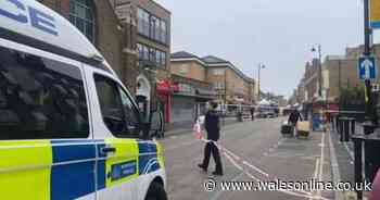 One dead and others injured after 'knife rampage' in London