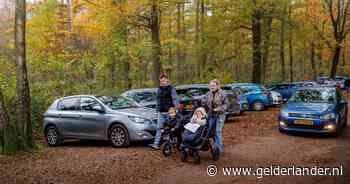 Verbod op auto’s bij bossen dreigt: ‘Gaan we echt mensen straffen die op zondag willen wandelen?’