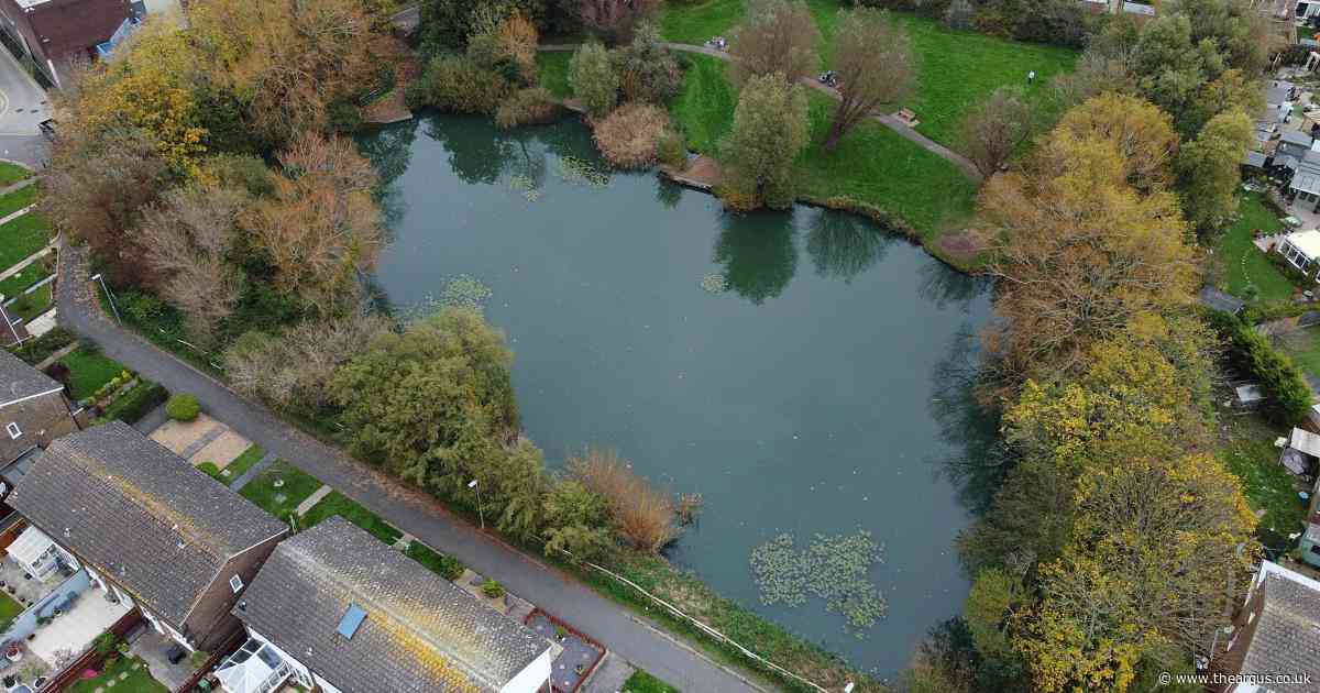 Firefighters called to save fish in pond that are struggling to breathe