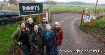 Baroness slams controversial allotments as 'eco-devastation'