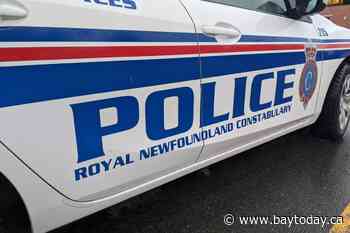 Newfoundland man fatally electrocuted by downed power line, two women injured