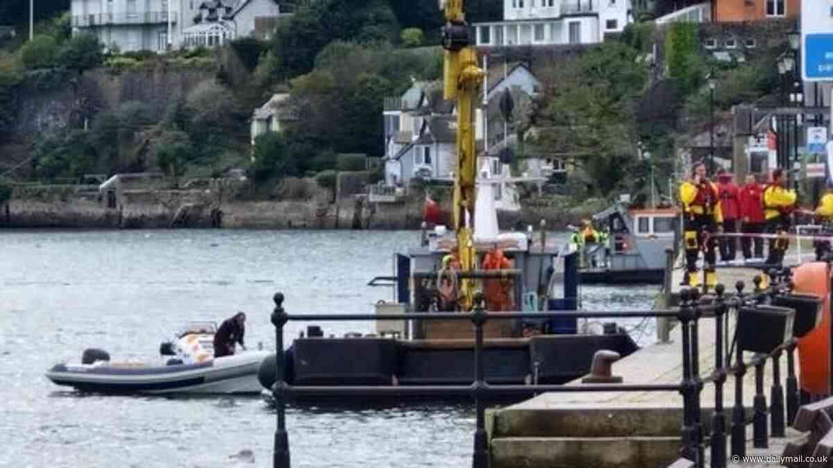 Pensioner, 80, dies after car plunges off road into river with driver still inside sparking frantic rescue operation