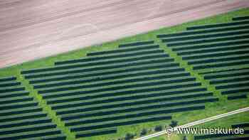 Kampf um Flächen: Solaranlagen nehmen Landwirten fruchtbaren Platz weg