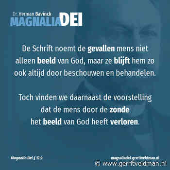 12.9 – Beeld van God in engere en ruimere zin