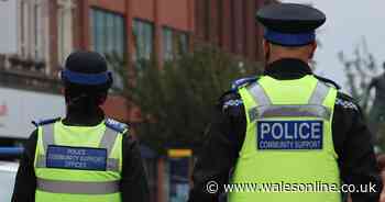 Man arrested after climbing over barriers at Remembrance Sunday ceremony