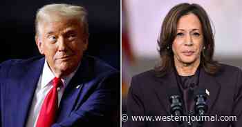 Trump Urges GOP to Pay off Harris Campaign's Debts in the Name of 'Unity'