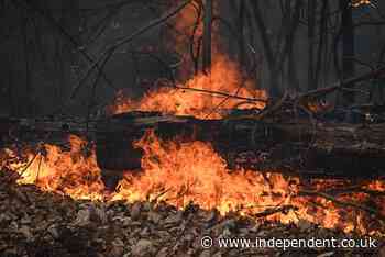 18-year-old New York parks employee dies battling wildfires along New Jersey border