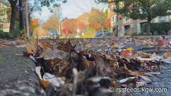 Neighbors warned to avoid parking on streets during Leaf Day service times or risk being towed