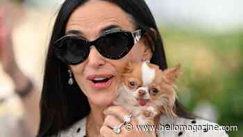 Demi Moore dazzles in beachside bikini with pup Pilaf as she celebrates her 62nd birthday