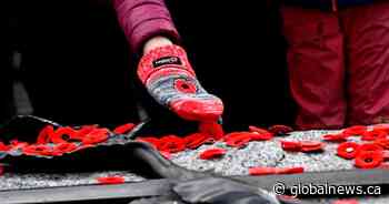 ‘Lest we forget’: Winnipeg marks Remembrance Day