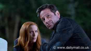 David Duchovny reveals 'failure of friendship' with X Files co-star Gillian Anderson amid tension on hit show