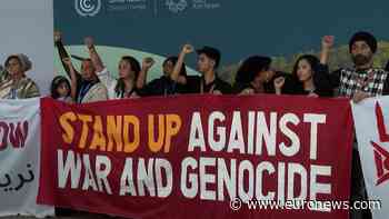 Protesters at COP29 call for an end to war in Gaza